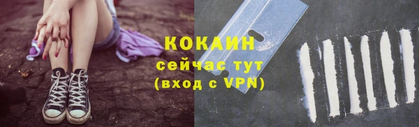 меф Долгопрудный