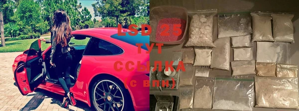меф Долгопрудный