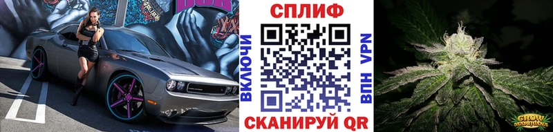 Каннабис White Widow Приволжск